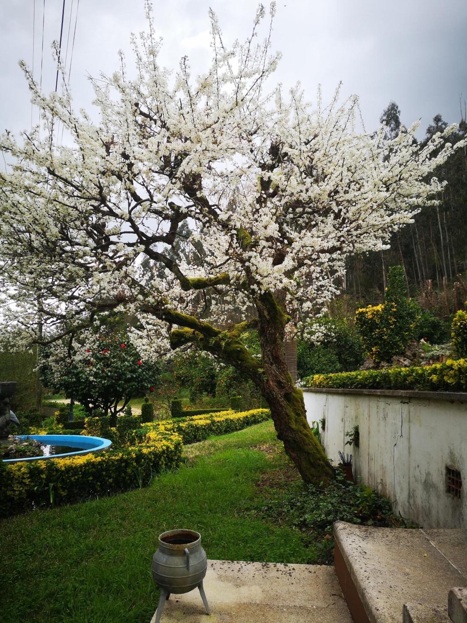 Quinta Das Aguias Aveiro Extérieur photo