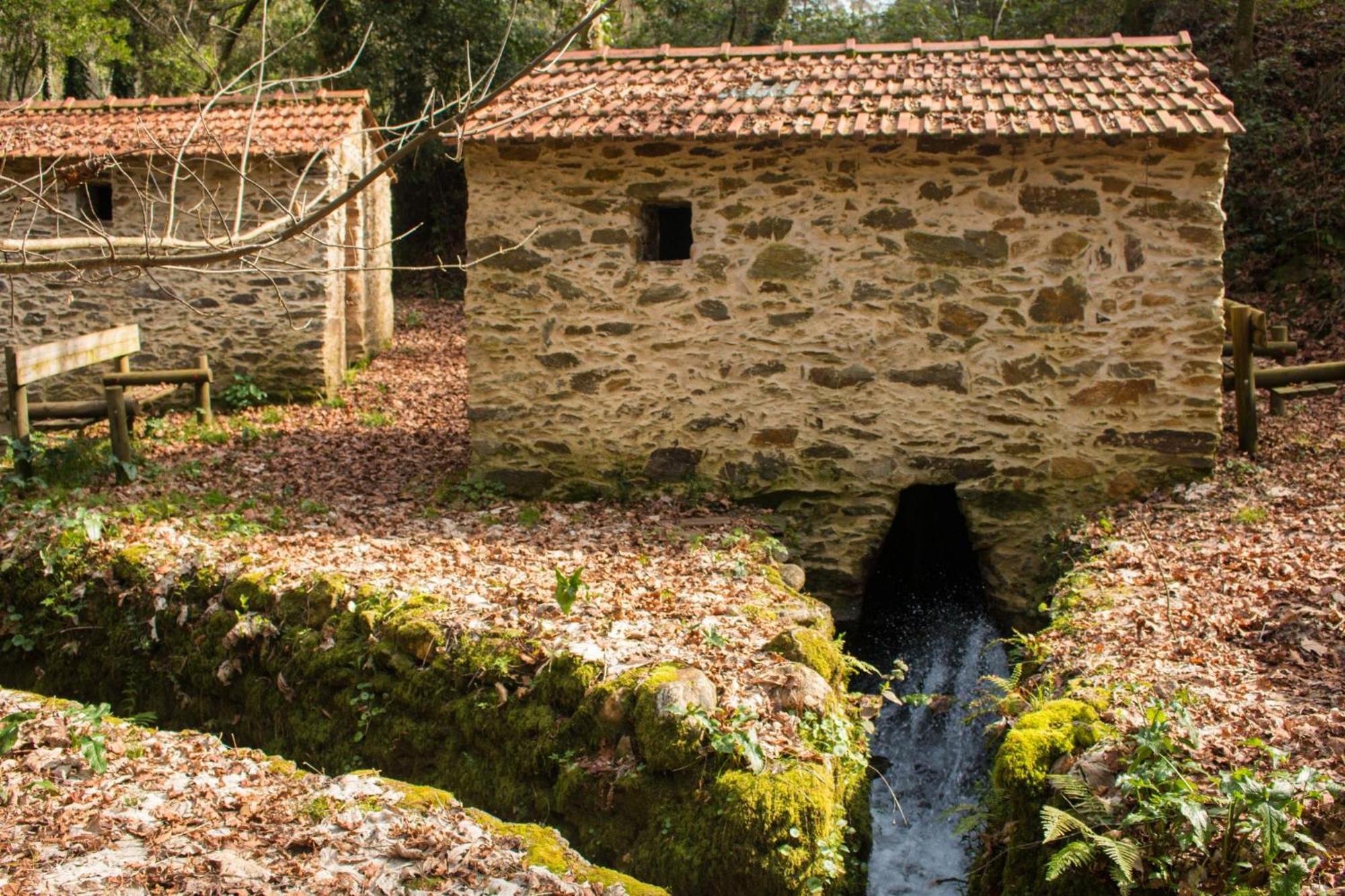 Quinta Das Aguias Aveiro Extérieur photo
