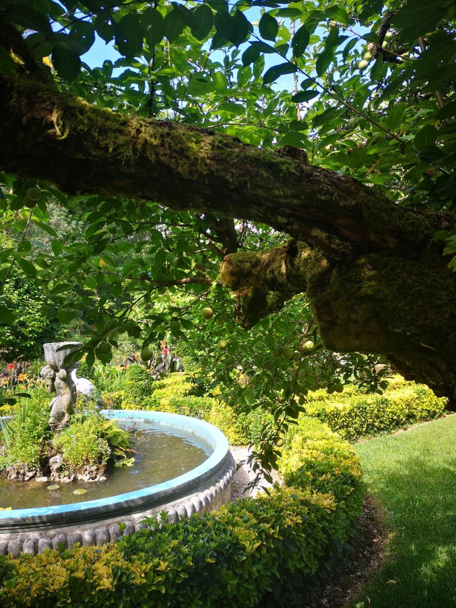 Quinta Das Aguias Aveiro Extérieur photo